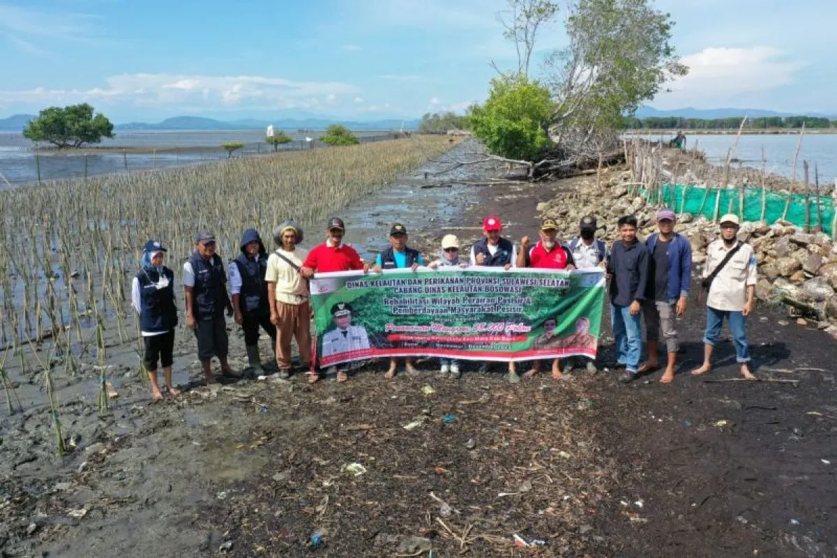 Penanaman puluhan ribu pohon mangrove di kawasan pesisir Kabupaten Bone, Sulawesi Selatan,
