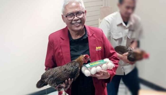 Dosen UMM Malang Ciptakan Gen Ayam Kampung Super, Bisa Produksi Telur Setiap Hari