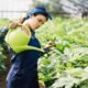 Menuju Masa Depan Pangan yang Lebih Sehat dan Berkelanjutan dengan Pertanian Organik