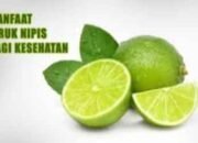 Jeruk Nipis: Buah Kecil dengan Segudang Manfaat untuk Kesehatan Tubuh dan Jantung