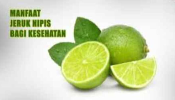 Jeruk Nipis: Buah Kecil dengan Segudang Manfaat untuk Kesehatan Tubuh dan Jantung