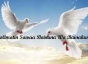 Kalimat yang Sama antara Kami dan Kamu