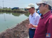 Inovasi Biostimulan Berbasis Rumput Laut: Solusi Usup Supriyatna untuk Budidaya Perikanan yang Lebih Efisien
