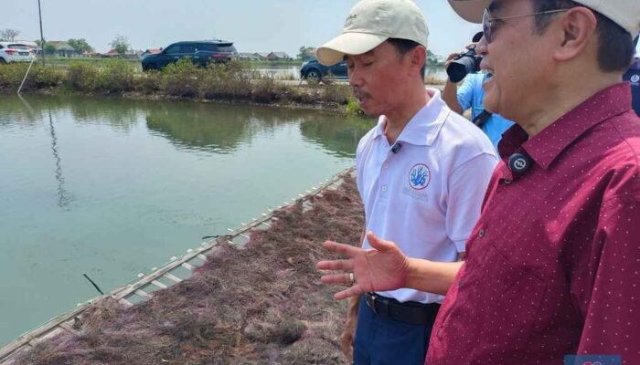 Inovasi Biostimulan Berbasis Rumput Laut: Solusi Usup Supriyatna untuk Budidaya Perikanan yang Lebih Efisien