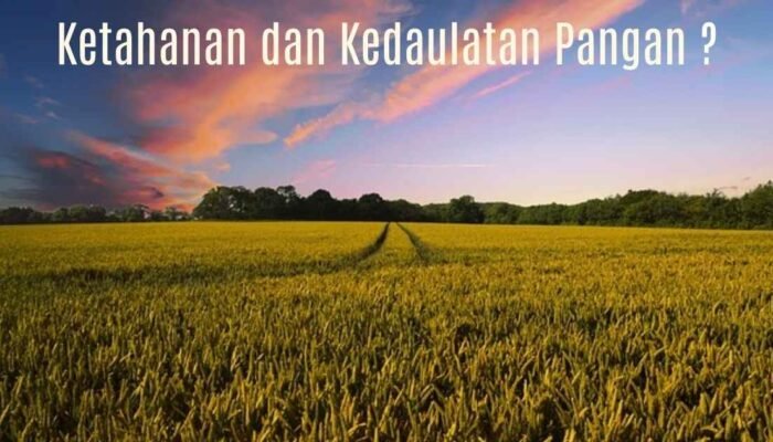 Ketahanan Pangan dan Kedaulatan Pangan: Memahami Perbedaannya untuk Masa Depan Bangsa