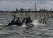 Di Balik Pagar Laut: Perebutan Kekuasaan dan Kepentingan Bisnis