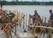 Dua Matahari di Kabinet? Pagar Laut: Simbol Tarik-Menarik Kepentingan di Tingkat Elite
