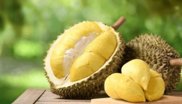Durian: Si Raja Buah dengan Segudang Manfaat Kesehatan
