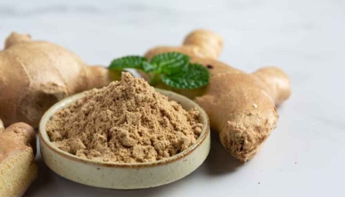 Kencur: Tanaman Herbal Serbaguna untuk Kuliner dan Kesehatan