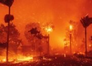 Kebakaran Hutan Los Angeles Diwarnai Fenomena Firenado: Dampak Perubahan Iklim?