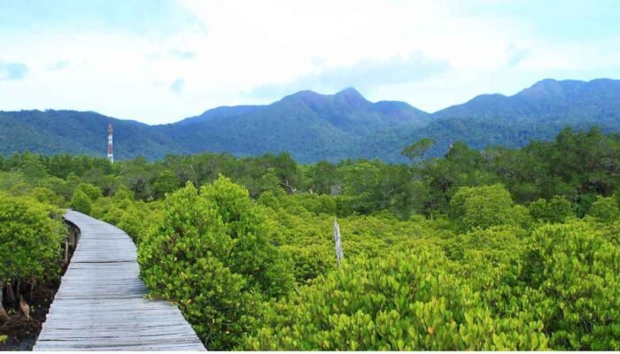 PSN Tropical Coastland: Fakta atau Fiksi? Pemerintah dan Masyarakat Berbeda Pendapat