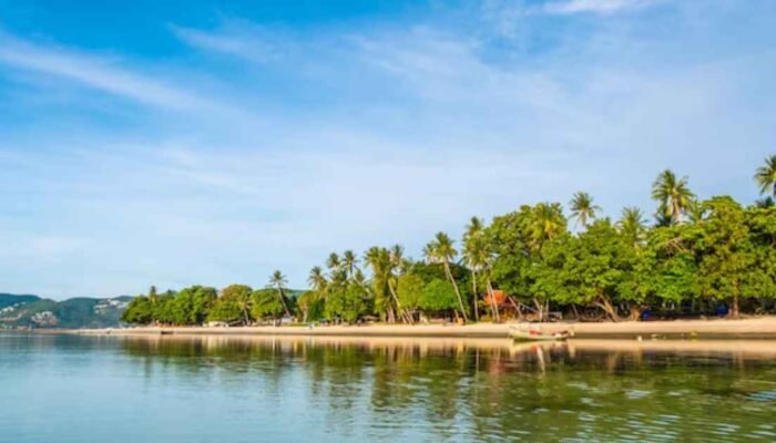 Mangrove Jadi Andalan: PSN Tropical Coastland Selamatkan Pesisi