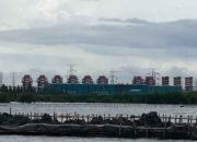 Misteri Pagar Bambu di Bekasi Terungkap: Proyek Pelabuhan Miliaran Rupiah