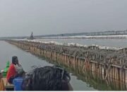 Pagar Bambu di Perairan Bekasi: Proyek Pemerintah, Bukan Misteri