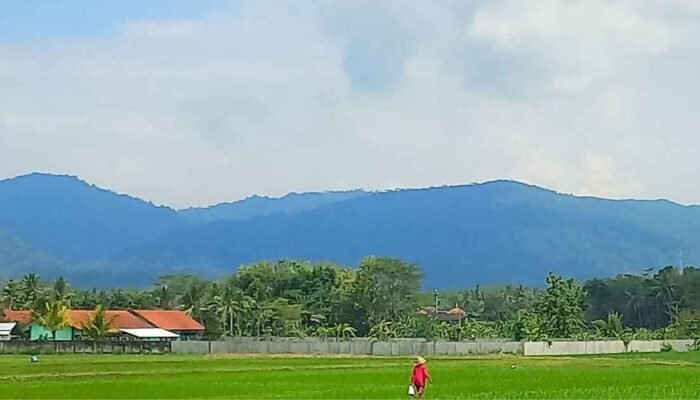 Meneguhkan PPM sebagai Ummatan Washatan: Implementasi QS. Al-A‘rāf Ayat 96 dalam Pengembangan Masyarakat