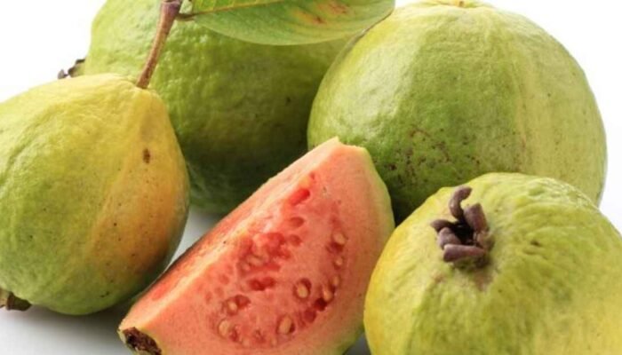 Manfaat Luar Biasa Jambu Biji bagi Penderita Diabetes: Penjaga Gula Darah dan Pendukung Kesehatan Tubuh