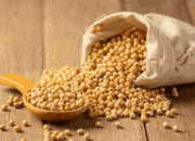 Sampai Kapan Indonesia Bergantung pada Kedelai Impor?