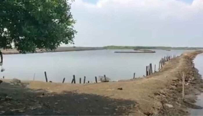 Program Revitalisasi Tambak Pantura: Peluang Baru bagi Petambak dan Ekonomi Lokal Pantura,