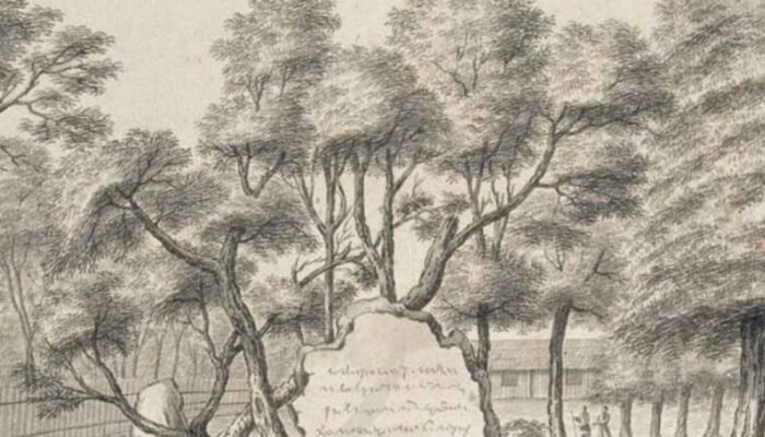 Jaka Susuru dan Tanjung Singuru: Kerajaan yang Dilupakan Waktu