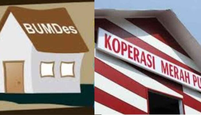 Sinergi Koperasi Merah Putih dan BUMDes dalam Pemberdayaan Ekonomi Desa