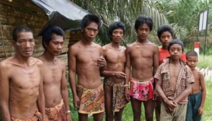 Eksistensi Orang Rimba: Menelusuri Asal Usul, Memahami Tradisi, Menghadapi Realitas  Masa Kini