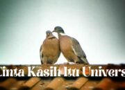 Cinta Kasih Itu Universal: Renungan atas Fanatisme yang Salah Arah