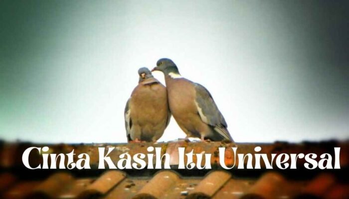 Cinta Kasih Itu Universal: Renungan atas Fanatisme yang Salah Arah