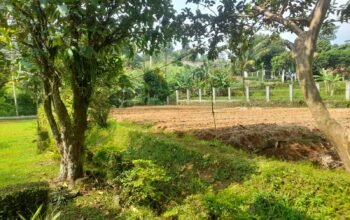 Mewujudkan Koperasi Desa yang Mandiri: Kolaborasi Pemerintah dan Masyarakat Sipil