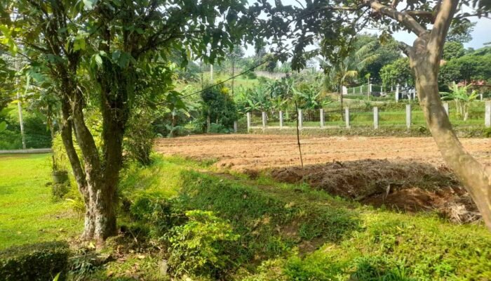 Mewujudkan Koperasi Desa yang Mandiri: Kolaborasi Pemerintah dan Masyarakat Sipil