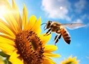 Mukjizat Lebah dalam Cahaya Al-Qur’an: Pelajaran dari Makhluk Kecil yang Luar Biasa