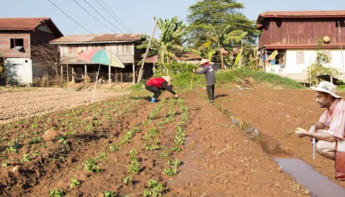 Mengawal Inpres 9/2025: Pendamping Desa dan Transformasi Ekonomi Berbasis Koperasi