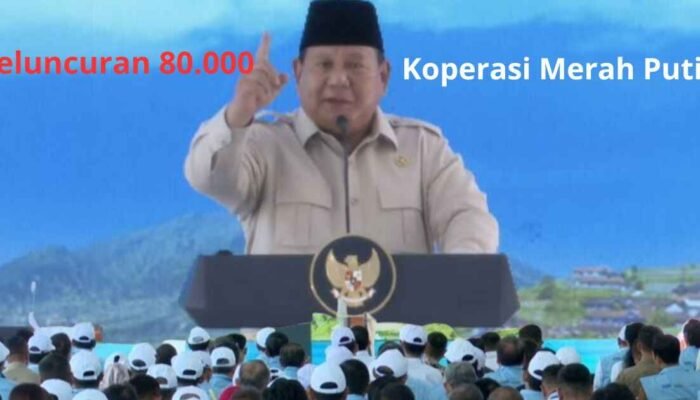 Jadi Andalan Entaskan Kemiskinan, Presiden Prabowo Luncurkan Kopdes Merah Putih di Klaten