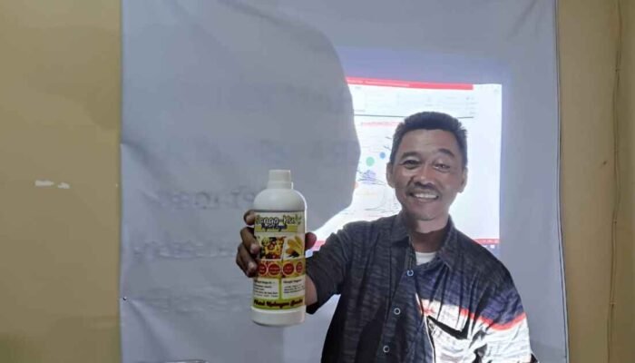 Dari Mie Rumput Laut hingga Pupuk Samuko: Inovasi dari Pesisir