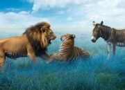 Rumput yang Biru, Rumput yang Hijau