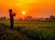 Ketika Musik Diharamkan Manusia, Padahal Allah Tak Pernah Melarangnya