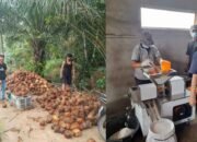 PPM Indonesia dan PPM Madani Malaysia: Menghubungkan Petani, Menguatkan Ekonomi Perbatasan
