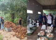 PPM: Jangan Biarkan Petani Kelapa Jadi Sapi Perahan di Negeri Sendiri