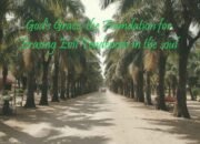 Rahmat Allah, Fondasi Menghapus Kecenderungan Jahat dalam Jiwa