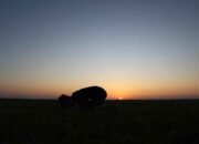 Islam Bukan Nama Agama: Makna Penyerahan Diri dalam Perspektif Qur’an