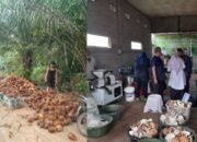 Hilirisasi Kelapa, dari Gelondongan ke VCO: Indonesia Ubah Arah Ekonomi Tropis