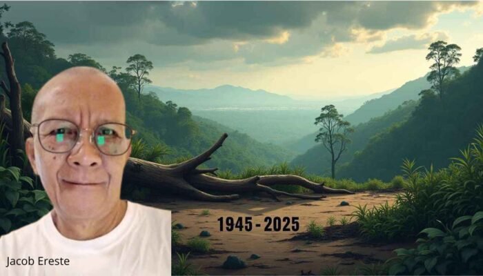 Deforestasi Akibat Konsesi Hutan dan Lahan