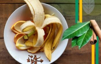 Ramuan Kulit Pisang dan Rempah: Kearifan Herbal Lokal untuk Kesehatan Metabolik  Oleh: …