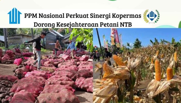 PPM Nasional Perkuat Sinergi Kopermas Dorong Kesejahteraan Petani NTB