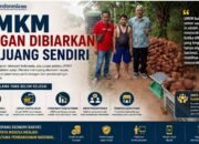 UMKM Jangan Dibiarkan Berjuang Sendiri